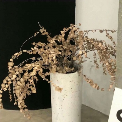 Furry角色动作设计福瑞交流群